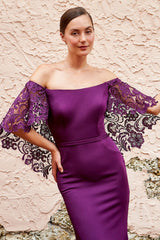 Cameron Blake 220632 Long Formal Fitted Lace Evening Dress