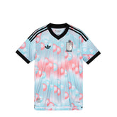 Belgium 26 Away Authentic Jersey
