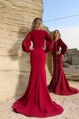 Terani Couture 252E5129 Long Sleeve Mermaid Formal Evening Dress