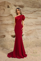 Terani Couture 252E5514 Long Evening Formal Fitted Dress