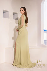 Terani Couture 252M5377 Long Sleeve Mother of the Bride Formal Dress
