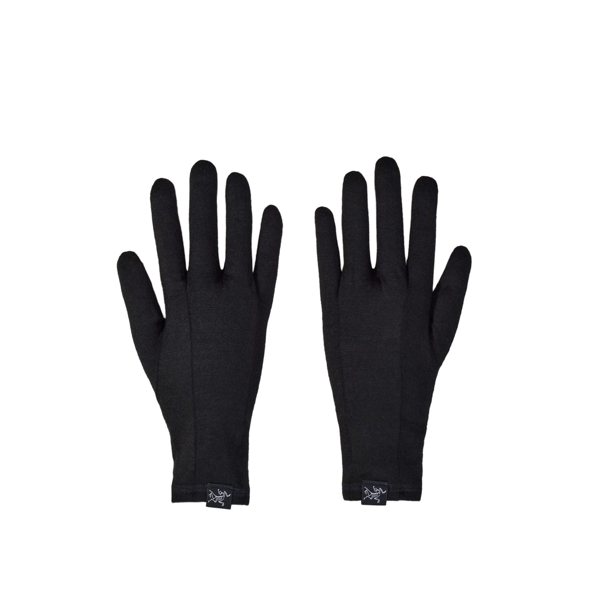 Arc'teryx Gothic Glove