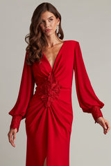 Tadashi Shoji BOS24911L Long 3D Applique Formal Evening Dress