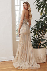 Long Fitted Evening Gown LaDivine CD990